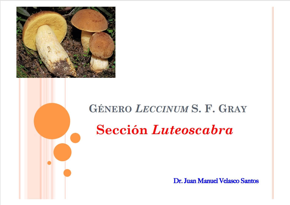 Primera ficha de la presentación del género Leccinum