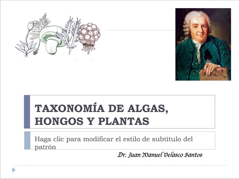 Primera ficha de la presentación de Taxonomía de Algas, Hongos y Plantas
